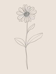 Single flower vector line art