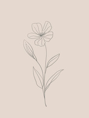 Single flower vector line art