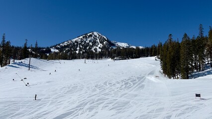Fototapeta na wymiar Dozens of anonymous skiers descend snow-covered slopes at Mammoth Mountain winter sports area, California