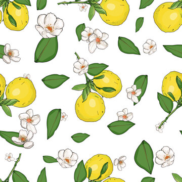 Pattern of lemons, lemon flowers on a colored background. Branch with lemons. Beautiful seamless Summer Vacation Seamless pattern