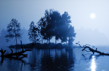 Beautiful forest with fog, 3D illustration - 756780929