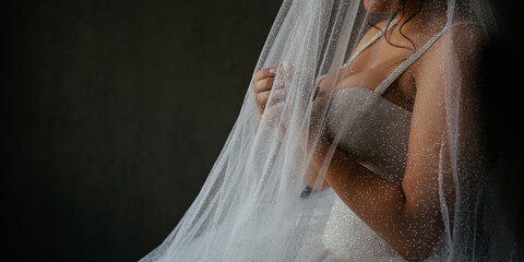 Close up a  bride under the veil.