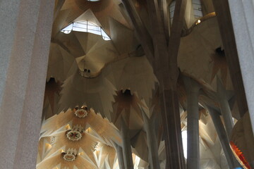 ceiling of the church