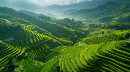 Fotobehang Terraced rice fields, showcase the beauty of agricultural landscapes from an aerial perspective.  © DreamPointArt