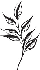 Fototapeta na wymiar Exotic Oasis: Onekine Tropical Plant Leaves Black Icon Tropical Treasures: Onekine Exotic Plant Leaves Vector Logo
