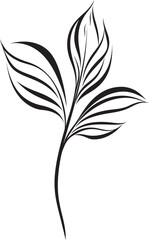 Vibrant Flora Essence: Onekine Tropical Leaves Vector Design Exotic Oasis: Onekine Tropical Plant Leaves Black Icon