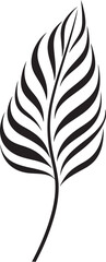 Obraz premium Tropical Opulence: Onekine Exotic Plant Leaves Icon Design Vibrant Botanical Beauty: Onekine Tropical Leaves Black Logo Vector