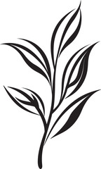 Botanic Paradise: Onekine Exotic Tropical Leaves Black Icon Design Serenity in Nature: Onekine Tropical Plant Leaves Vector Logo