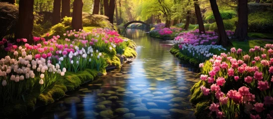 Foto op Plexiglas A picturesque watercourse flows through a lush forest, with colorful flowers and towering trees creating a beautiful natural landscape © AkuAku