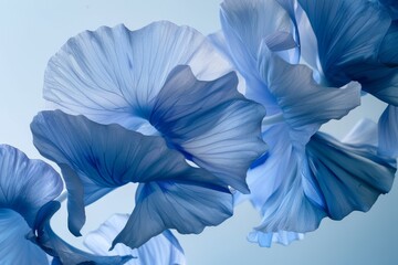 This close-up image captures the intricate details of overlapping petals in varying shades of blue with a translucent quality against a white backdrop