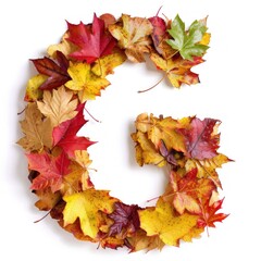 Alphabet of Nature: Letter G Composed of Fresh Multicolored Autumn Leaves on White Background