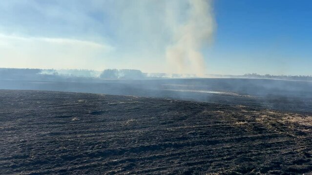 Fire on grass in farm field. Dry Grass Fires due to drought. Hot weather, heatwave. Depletion of water supplies dried land. Fire destroys crops on farm land. Forets burning. Forest fire burns grass