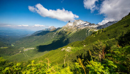 Fototapeta premium stunning showcase of the vibrant beauty of nature wallpaper background