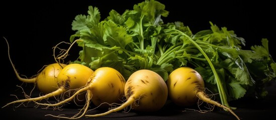A bunch of vibrant yellow radishes with green leaves, a delicious and nutritious root vegetable, showcased against a dramatic black background