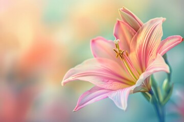Naklejka premium Vibrant pink lily with intricate details against a soft, out-of-focus background, symbolizing elegance and tranquility