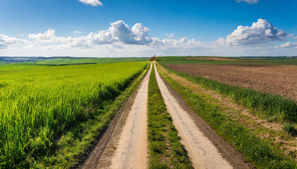 old road that stretched across rural farms and plains to the horizon