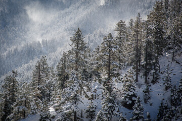 Winter landscape in America 2023