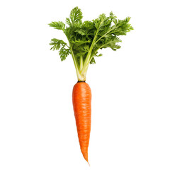 Single carrot isolated on white background cutout