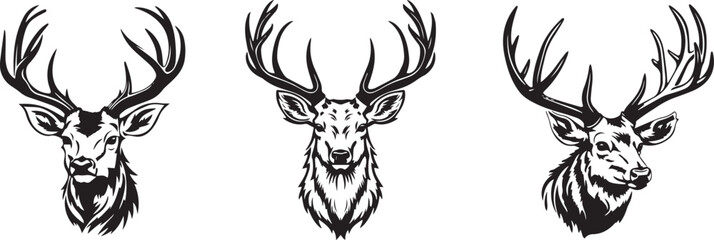 deer heads portraits with large antlers, majestic wildlife, black vector graphic