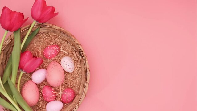 Easter stop motion animation. Assorted Easter eggs in pink tones move in a wicker basket on a pink coral background next to beautiful red tulips