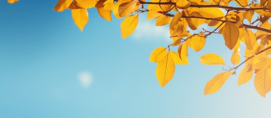 A twig with yellow leaves stands out against an electric blue sky, creating a stunning contrast in the natural landscape. The amber tints of the leaves add a touch of warmth to the scene