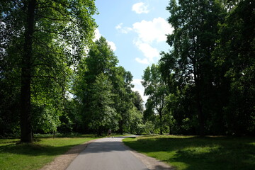 path in the park