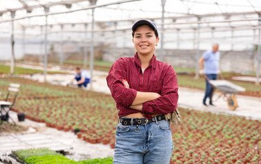 young positive girl gardner in cap poses next to plantation of young plants in greenhouse. plant-growing farm worker - obrazy, fototapety, plakaty