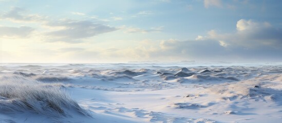 A serene natural landscape of a snowy beach with a blue sky and fluffy cumulus clouds in the background, creating a picturesque horizon