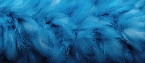 Elegant blue fur and chicken feather texture background.