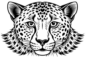 Illustration of a cheetah