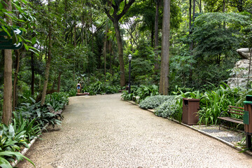 Trianon Park on Av. Paulista in São Paulo, SP, Brazil. Main avenue of the city - obrazy, fototapety, plakaty