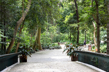 Trianon Park on Av. Paulista in São Paulo, SP, Brazil. Main avenue of the city