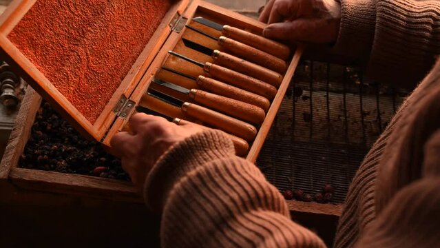 Inscription: cutters. antique retro jewelry box various wood carving tools. close up male hands open box of woodworking tools. vintage scissors. leisure hobby pastime for male. abandoned attic things