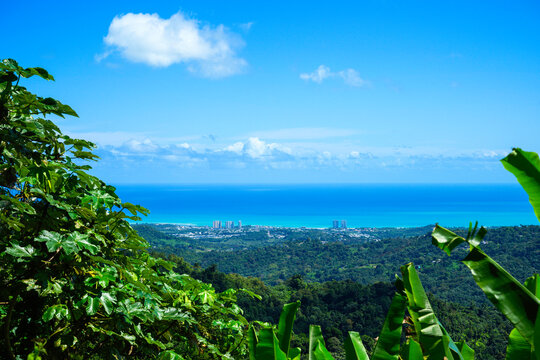 Tranquil Puerto Rico Seascape, Luquillo City Skyline, and Cloudy Horizon over the Carribean Ocean, a view from Yokahu Observation Tower in El Yunque National Forest Tropical Park