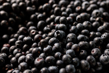 Fresh blueberry background. Texture blueberry berries close up.