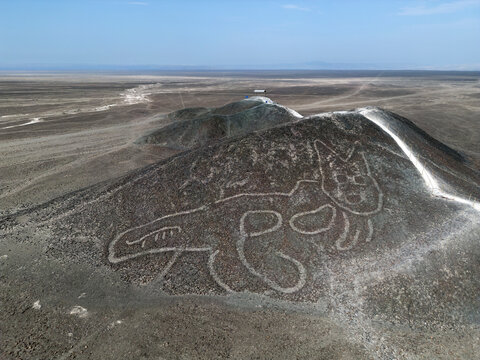Un gato de unos 37 metros de largo reposando sobre una colina arenosa es la nueva figura en las Líneas de Nazca