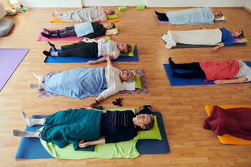 A group of senior women engage in various yoga exercises, including neck, back, and leg stretches, under the guidance of a trainer in a sunlit space, promoting well-being and harmony