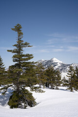冬の岩菅山