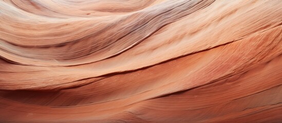 Fototapeta premium Sandstone surface