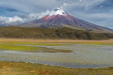 Cotopaxi volcano in activity with a steam column above his crater and the Limpiopungo marsh with birds in foreground