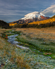 Cotopaxi volcano north-northeast face on a cold and frosty early morning. Hoarfrost covers the grass of the riverside. The background rising sun illuminates the volcano and the hilltops of the valley