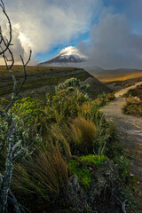 Cotopaxi volcano reveals its south face through a clearing in a cloudy sky, illuminated by a ray of sunlight. A mountain view at 4070 meters asl of the Cotopaxi volcano wild paramo ecosystem.