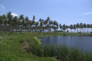 Obraz premium Paisajes marinos,transmiten mucha tranquilidad.