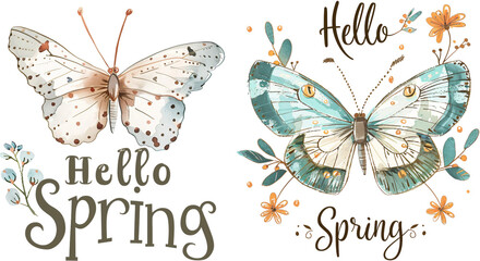 Watercolor spring butterfly illustration