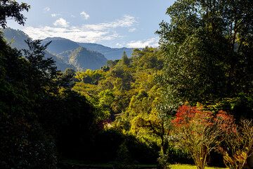 Panoramic view of the hills of Jardin, Colombia, during sunrise