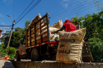 Worker unloads burlap bags with coffee beans in Jardín, Colombia