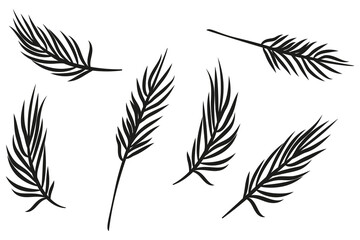 Set of Tropical Palm Leaves Silhouettes. Vector illustration. EPS 10.