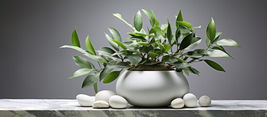A houseplant in a flowerpot is displayed on a elegant marble table, adding a touch of nature to the indoor decor