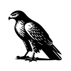Hawk Bird Simple and Clean Logo Icon