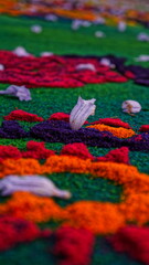 Fototapeta premium 4th Sunday of lent, Jesus Nazareno de la Dulce Mirada. Antigua Guatemala